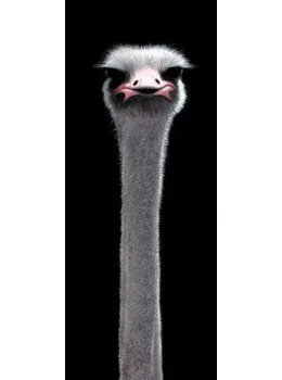 You Talking To Me? - Board Only