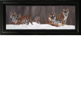 Snow Patrol - Black Framed