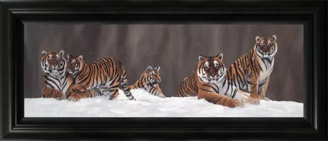 Snow Patrol - Black Framed Snow Patrol - Black Framed