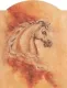 Pegasus I - Mounted