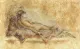 Repose V - Print