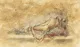 Repose VI - Mounted
