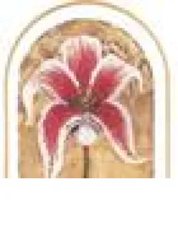 Stunning Stargazer - Mounted