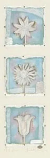 Petit Fleur 7,8,&9 (Portrait) - Mounted