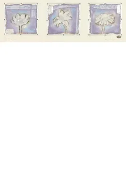 Petit Fleur 1,2,&3 (Landscape) - Mounted