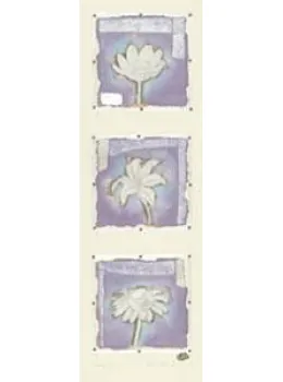 Petit Fleur 1,2,&3 (Portrait) - Mounted