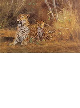 Leopard & Cub - Print only