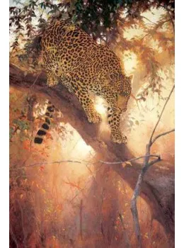 Golden Moment - Box Canvas