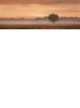 Soft Light Of Dawn - Canvas - With slip
