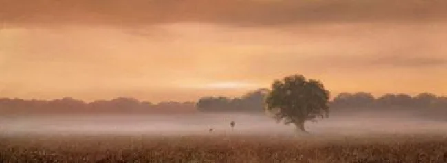 Soft Light Of Dawn - Canvas - With slip