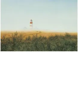 Summer Mist - Mounted