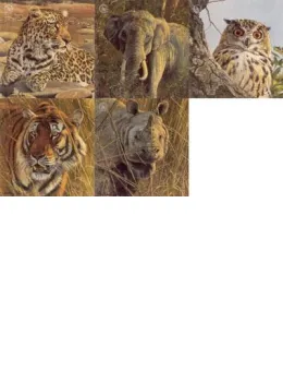 Five Faces Of India (Set of 5) - Print only