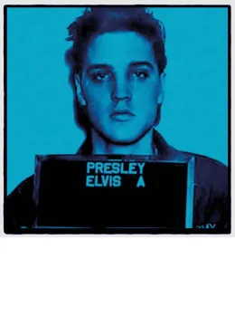 Elvis II - Mounted