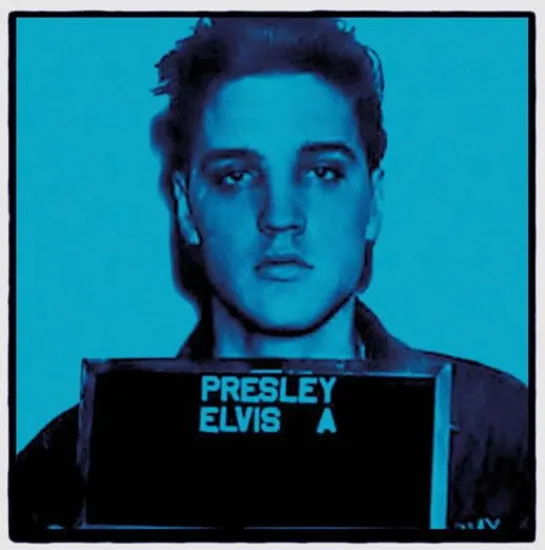 Elvis II - Mounted
