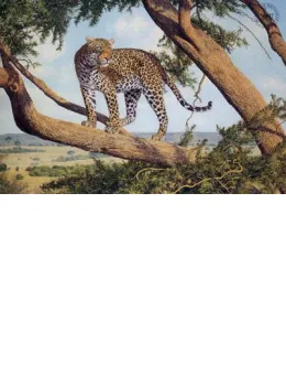 Mara Lookout - Print only