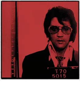 Elvis - Mounted