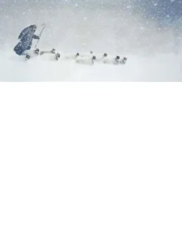 In Snow - Mounted