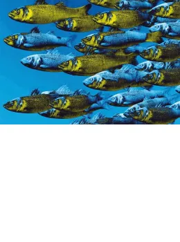 Go With The Flow - Blue/Yellow - Framed