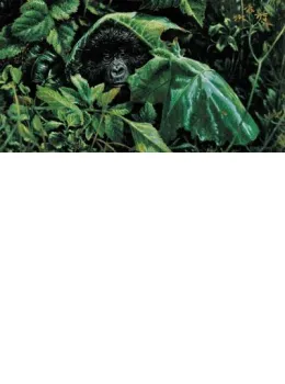 Looks Like Rain - Gorilla - Mounted