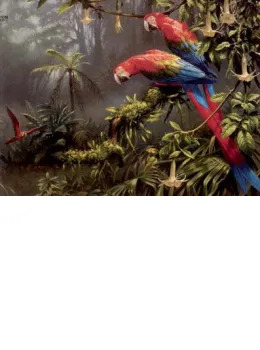 Jewels Of The Forest  - Parrots - Mounted