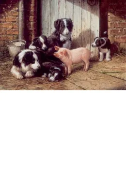 Piggy In The Middle - Border Collies & Pig - Mounted