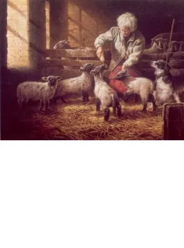 The Orphans - Border Collie & Lambs - Mounted