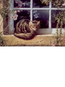 Sunshine & Roses - Cat - Mounted