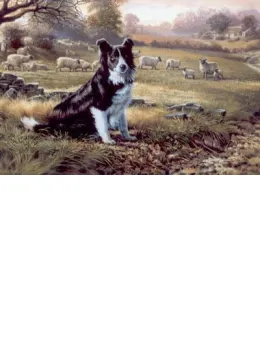 Ready For Work - Border Collie - Mounted