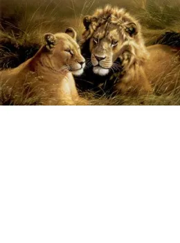Pride Of Africa - Lion & Lioness - Mounted