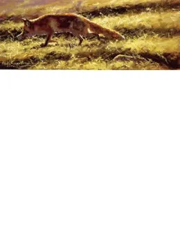 On The Prowl - Print