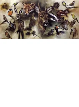 British Wildlife - Print