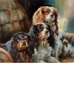 Cavalier King Charles - Print