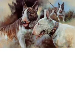 Bull Terriers - Print