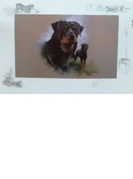 Rottweiler - Print