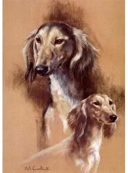 Saluki - Print