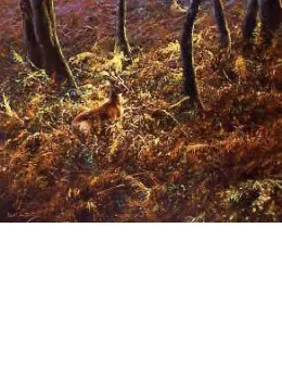 In The Forest - Print