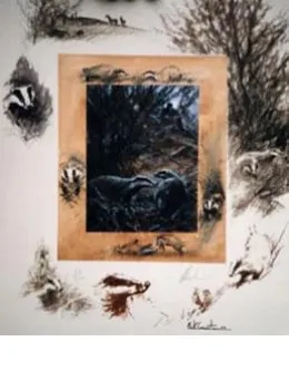 Badger Watching - Print