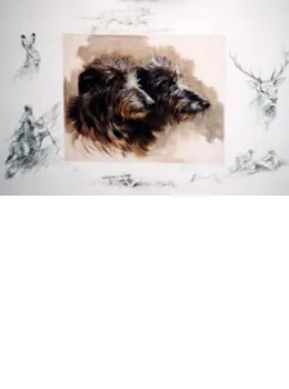 Highland Magic - Print