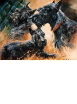 The Scottie - Print