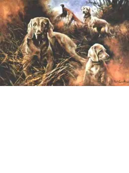 Weimaraner Composite II - Print