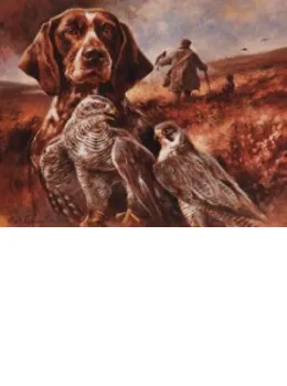 German Shorthaired Pointer & Falcons - Print