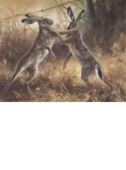 Boxing Hares - Print