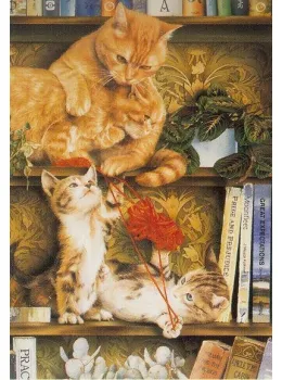 Shelf Life - Print