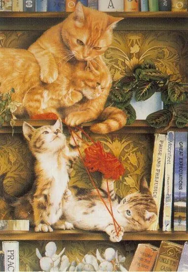 Shelf Life - Print Shelf Life - Print