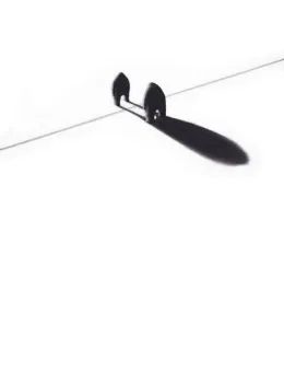 The Line - With slip