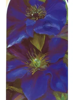 Clematis - Print