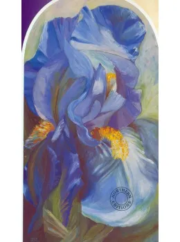 Iris - Print