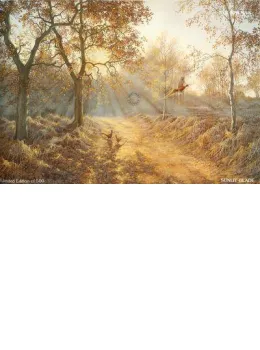 Sunlit Glade - Print