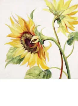 Summer II (Sunshine II) - Box Canvas