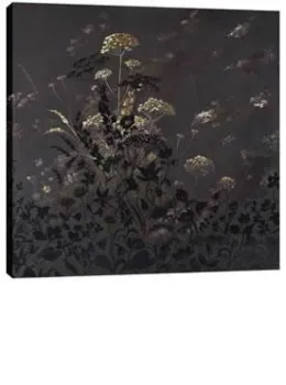 Sleeping Beauty - Box Canvas